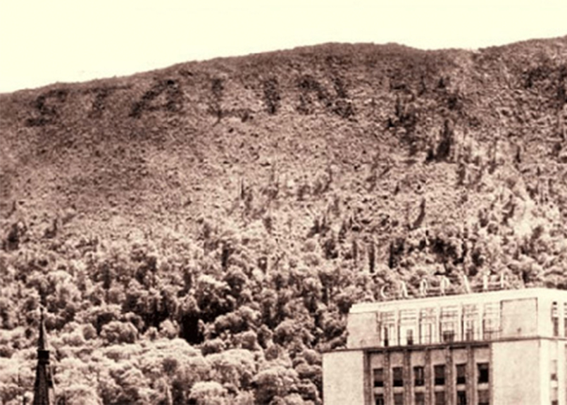 Stalins Schrift auf dem Berg Tampa in Tannen - photoprinbrasov. Ro